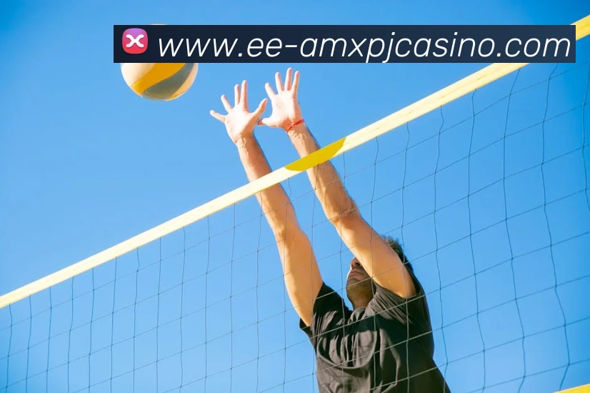 澳门新葡京娱乐APP 高清赛事图